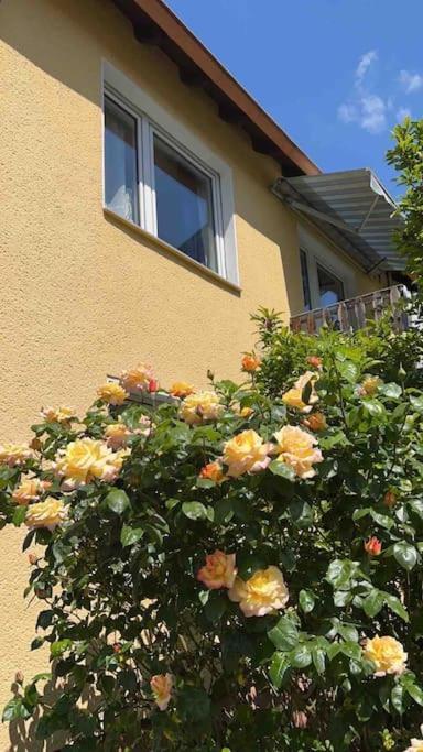 Duesseldorf Messe And Airport, 2-Bedroom Apartment With Kitchen And Garden Duisburg Exterior photo